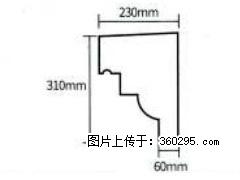 产品分解图型 - 檐口线，型号：SX311-YK-3，规格：230x310mm(3) - 吉林三象EPS建材 jl.sx311.cc